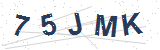 رمز التحقق